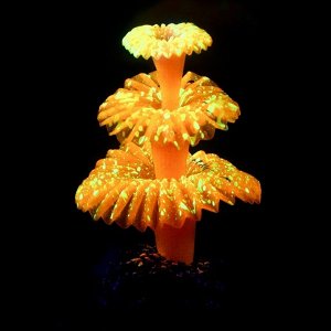 Декор для аквариума "Коралл на платформе" силиконовый, 5 х 5 х 8 см, оранжевый