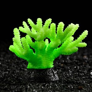 Декоративный коралл "Акропора" силиконовый, светящийся, 7,5 х 9 см, зелёный
