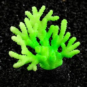 Декоративный коралл Акропора силиконовый, светящийся, 7,5 х 9 см, зелёный