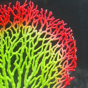 Декоративный коралл Горгонария силиконовый, светящийся, 3 х 13,5 х 15 см, красный