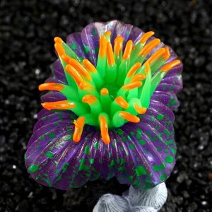 Декор для аквариума "Коралл на платформе" силиконовый, 7 х 7 х 8,5 см, фиолетовый