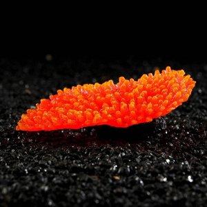 Декор для аквариума Коралл силиконовый, светящийся в темноте, 10 х 4,5 см, красный