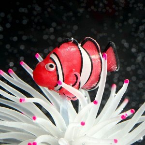 Декор для аквариума Анемон с рыбкой, силиконовый, светящийся в темноте, 8 х 8 х 7,5 см