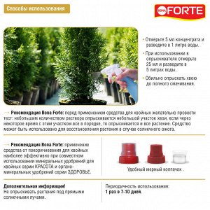 BONA FORTE УД Хвойные 0,285л Здоровье Бона Форте 1/20