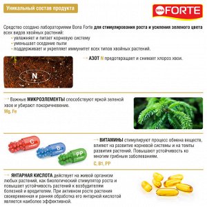 BONA FORTE УД Хвойные 0,285л Здоровье Бона Форте 1/20