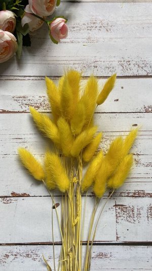 Букет сухоцветов Лагурус желтый 70см