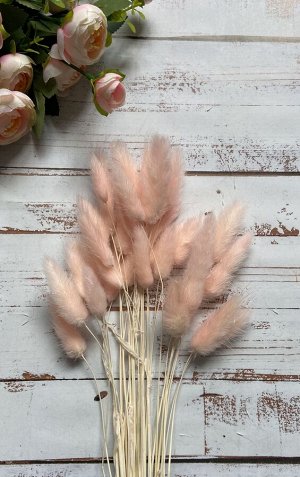 Букет сухоцветов Лагурус бледно-розовый 70см