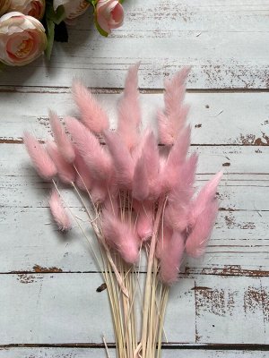 Букет сухоцветов Лагурус розовый 70см