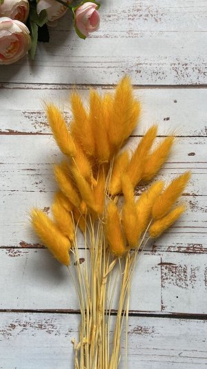 Букет сухоцветов Лагурус оранжевый 70см