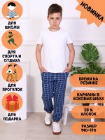 Брюки &quot;Алекс&quot; индиго клетка