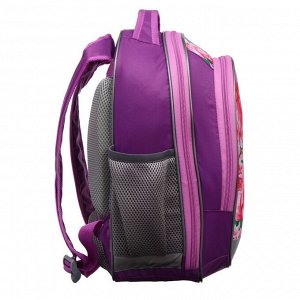 Рюкзак школьный с эргономичной спинкой, Calligrata, 37 х 27 х 16, «Колибри», голубой/розовый