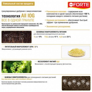 Ягодное Виноград 2,0кг гранулированное Бона Форте 1/8