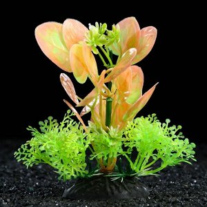 Растение искусственное аквариумное, 10 см, зелёно-розовое