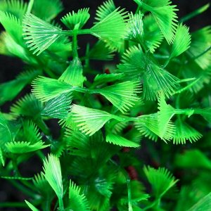 Растение искусственное аквариумное, 15 см, зелёное