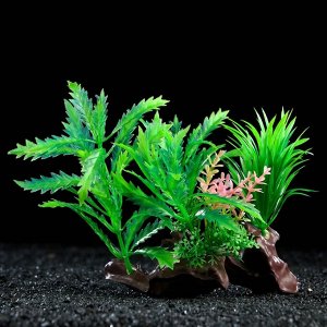 СИМА-ЛЕНД Растение искусственное аквариумное на платформе в виде коряги, 18 см, зелёное