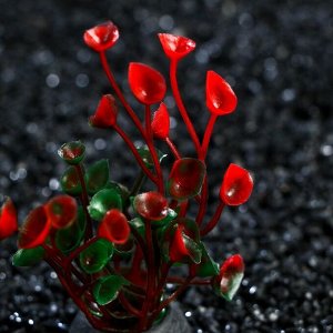 Пижон Аква Растение искусственное аквариумное, 5 см, красное, 1 шт.