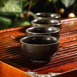Набор для чайной церемонии «Тясицу», 8 предметов: чайник 120 мл, 4 чашки 50 мл, щипцы, салфетка, подставка