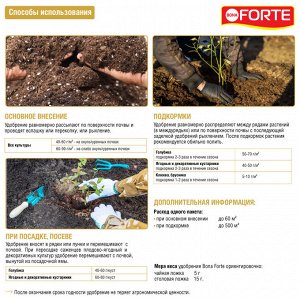 Ягоды лесные Голубика 2,5кг с цеолитом Бона Форте 1/10