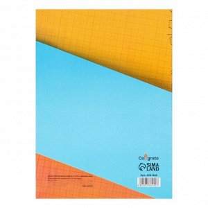 Бумага масштабно-координатная А4 10 листов Calligrata, оранжевая сетка