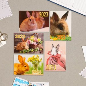 Карманный календарь "Символ года - 10" 2022 год, 7 х 10 см, МИКС 7036607