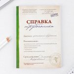 Ежедневник &quot;Справка трудоголика&quot;, А5, 80 листов