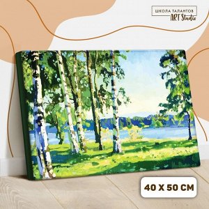 Картина по номерам на холсте с подрамником «Березовая роща» 40x50 см