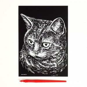 Гравюра «Британская кошка» с металлическим эффектом серебра А5