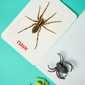 Развивающий набор с карточками «Мир насекомых», по методике Домана