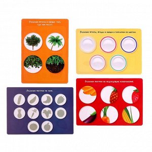IQ-ZABIAKA Набор фигурок с развивающими карточками «Фрукты, ягоды, овощи»