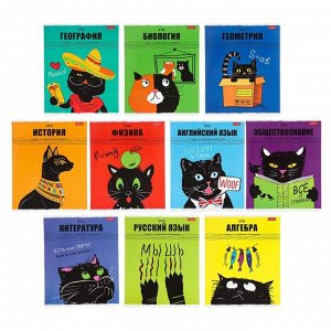 Комплект предметных тетрадей, 48 листов, 10 предметов, "Чёрный кот", мелованный картон, скруглённые углы