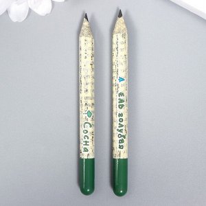 Растущие карандаши mini "Голубая ель и Сосна" набор 2 шт.