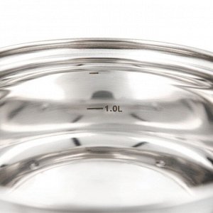 Кастрюля Доляна «Вернер», 1,9 л, d=16 см, стеклянная крышка