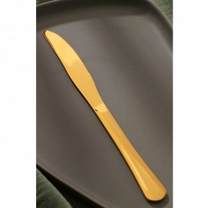 Набор ножей столовых Доляна «Голд», 23,5?2 см, 6 шт, цвет золотой