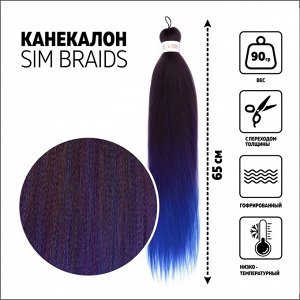 SIM-BRAIDS Канекалон трёхцветный, гофрированный, 65 см, 90 гр, цвет русый/синий/голубой(#FR-35)