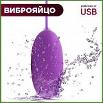 Фиолетовое виброяйцо A-Toys Cony