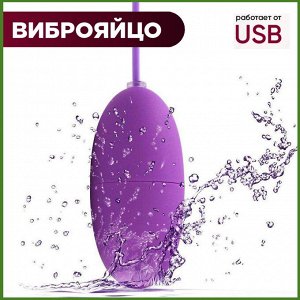 Фиолетовое виброяйцо A-Toys Cony