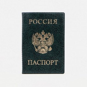 Обложка для паспорта, цвет зелёный 5195447