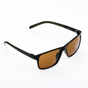 Поляризационные очки "Polarmaster" линзы - коричневые, черно-зеленые
