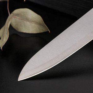 Нож кухонный Доляна «Раймонд», лезвие 14 см, цвет МИКС