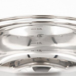 Кастрюля Доляна «Вернер», 3,5 л, d=20 см, стеклянная крышка
