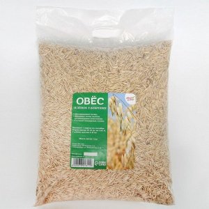 Семена Овес СТМ, 5 кг
