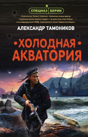 Тамоников А.А. Холодная акватория