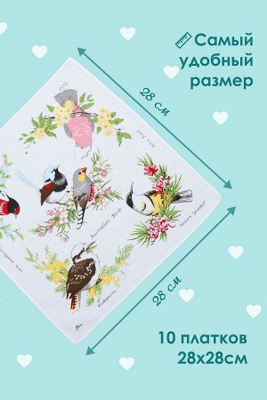 Набор носовых платков