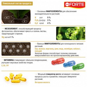 Удобрение минеральное BONA Forte Красота для декоративно-лиственных растений 285мл жидкое