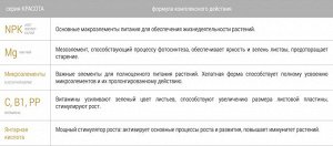 Декоративно-лиственные 285мл Красота Бона Форте
