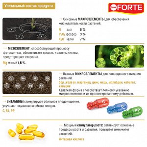 BONA FORTE Цитрус 285мл Красота Бона Форте 1/20