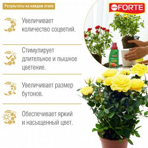 BONA FORTE Роза 285мл Красота Бона Форте 1/20