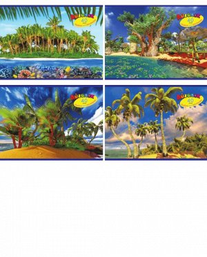 Альбом для рисования 40 листов Тропический рай