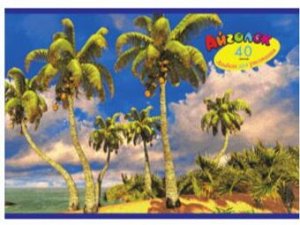 Альбом для рисования 40 листов Тропический рай