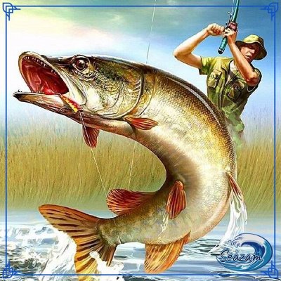 🍗 Фермерское мясо! Уссурийский район SEAZAM — 🐟 Ловись рыбка большая и маленькая! Сайра свежемороженая